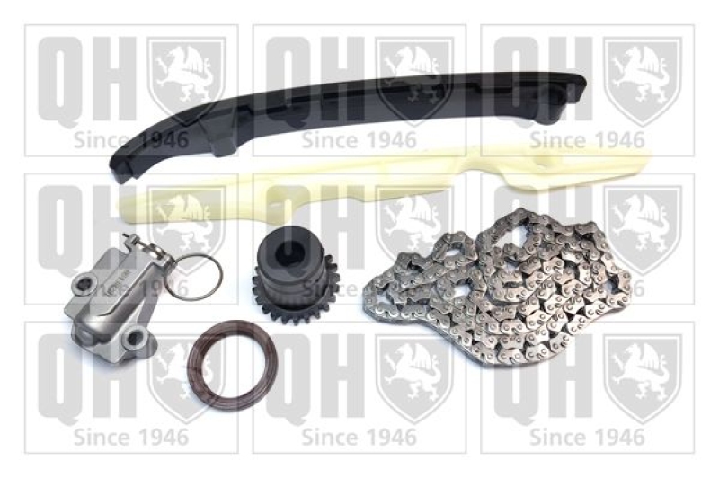 QUINTON HAZELL Timing Chain Kit