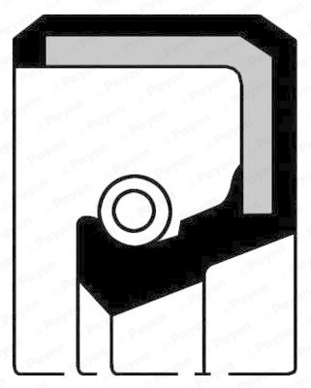 PAYEN Wellendichtring, Differential