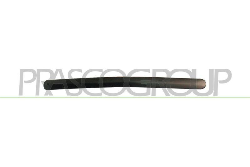 Trim/Protective Strip, sidewall