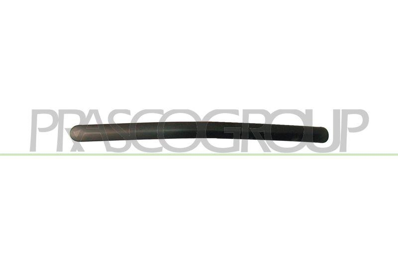 Trim/Protective Strip, sidewall
