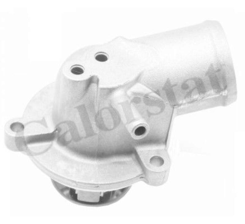 CALORSTAT by Vernet Thermostat, coolant