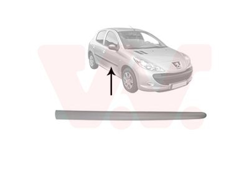 VAN WEZEL Trim/Protective Strip, door