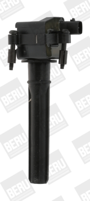 BorgWarner (BERU) Ignition Coil