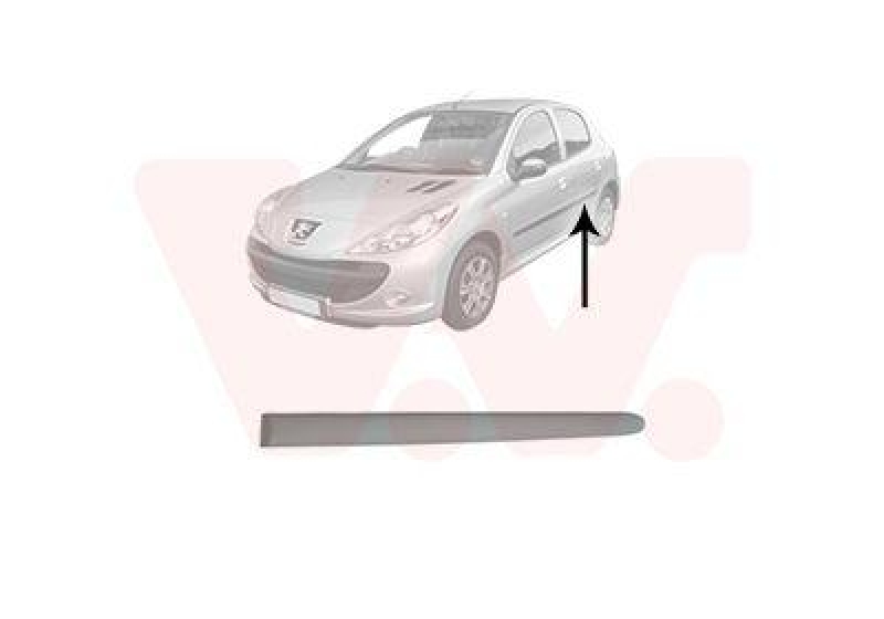 VAN WEZEL Trim/Protective Strip, door