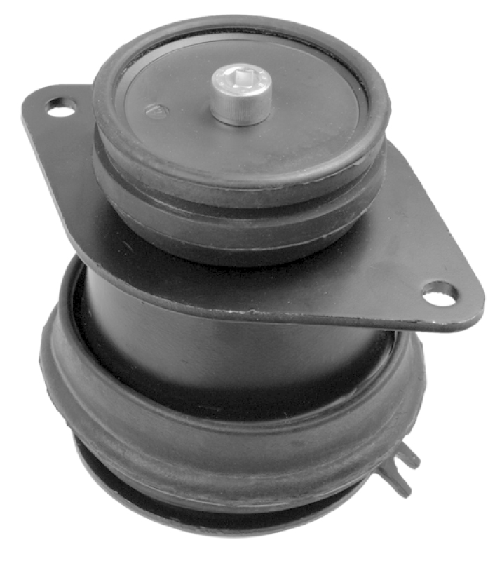 LEMF&Ouml;RDER Mounting, engine