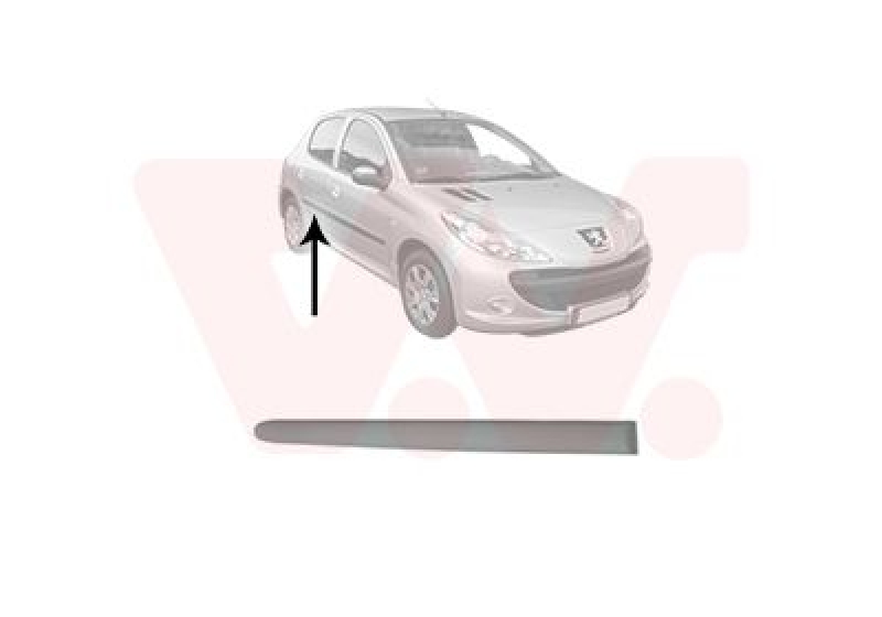 VAN WEZEL Trim/Protective Strip, door