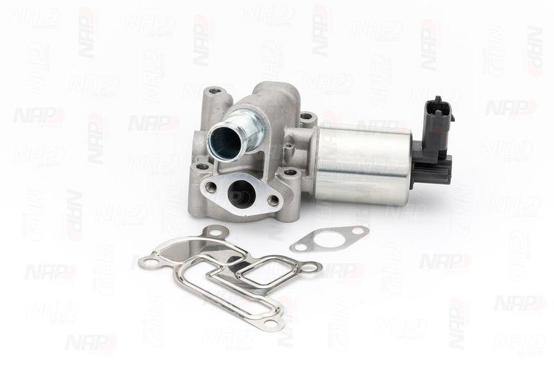 NAP carPARTS AGR-Ventil CAV10023