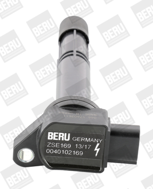 BorgWarner (BERU) Ignition Coil