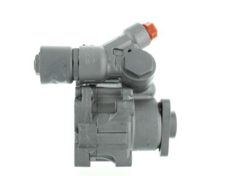 SPIDAN Hydraulikpumpe, Lenkung 54679