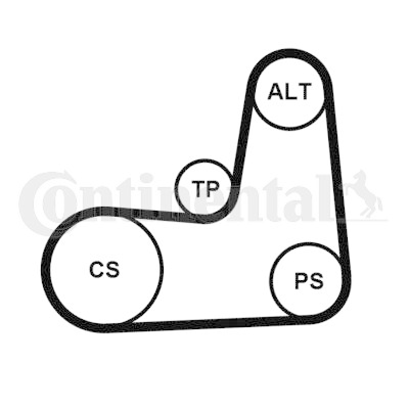 CONTINENTAL CTAM Keilrippenriemensatz