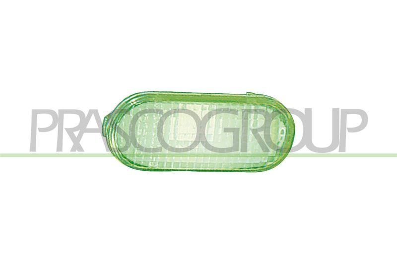 PRASCO Blinkleuchte Blinker VG0344043