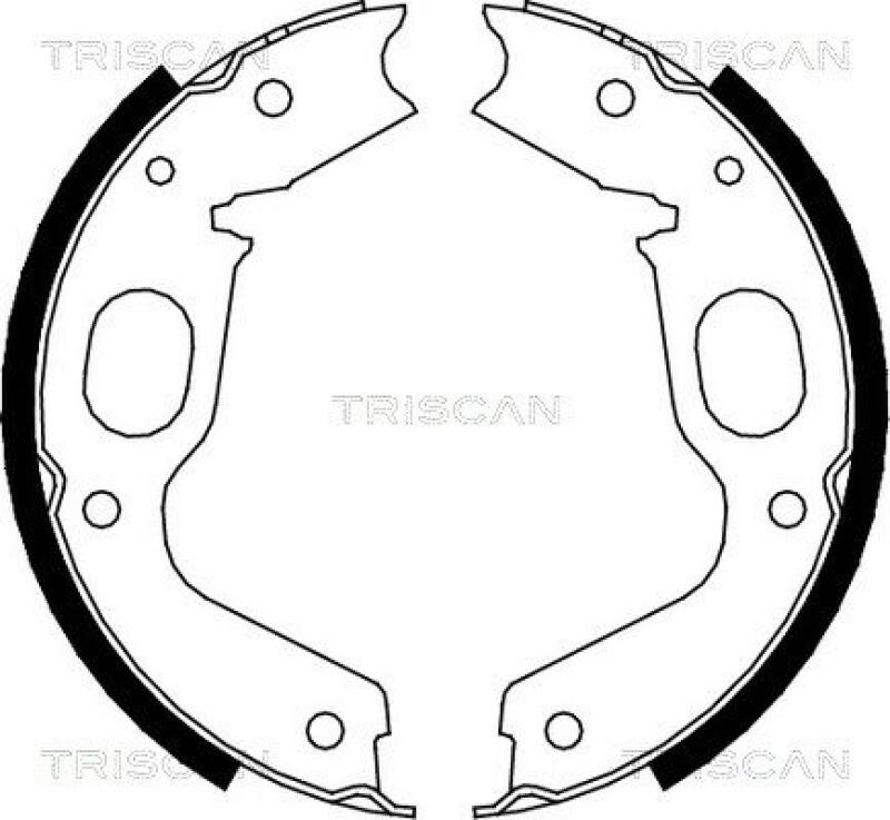 TRISCAN Brake Shoe Set, parking brake