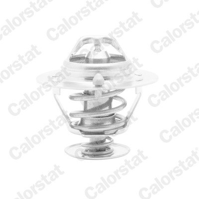 CALORSTAT by Vernet Thermostat, coolant