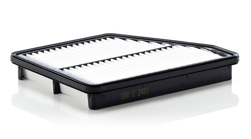 MANN-FILTER Luftfilter C 2421