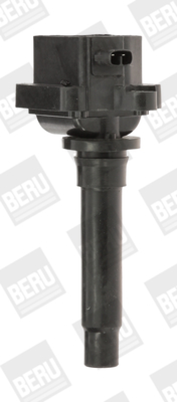 BorgWarner (BERU) Ignition Coil