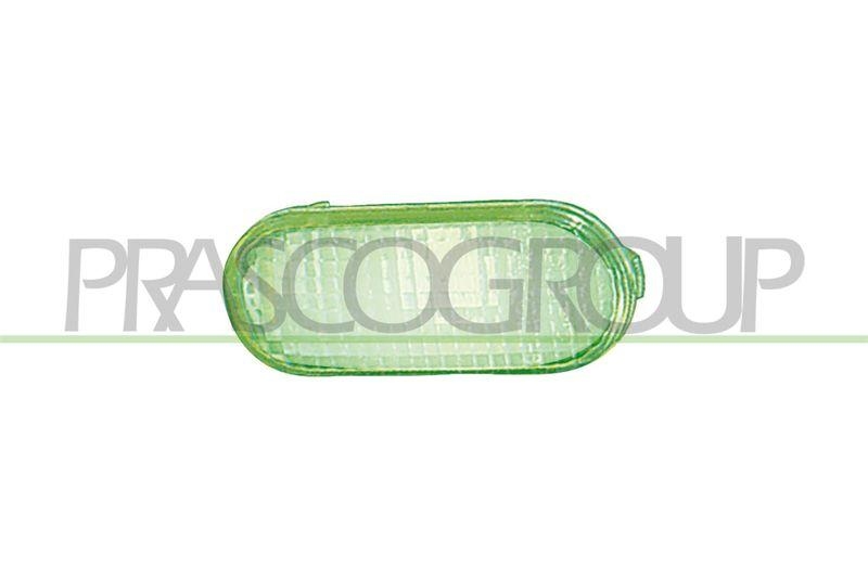 PRASCO Blinkleuchte Blinker VG0344044
