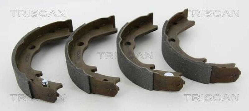 TRISCAN Brake Shoe Set, parking brake