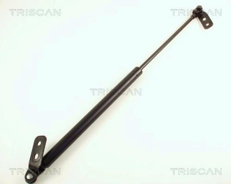 TRISCAN Gas Spring, boot-/cargo area