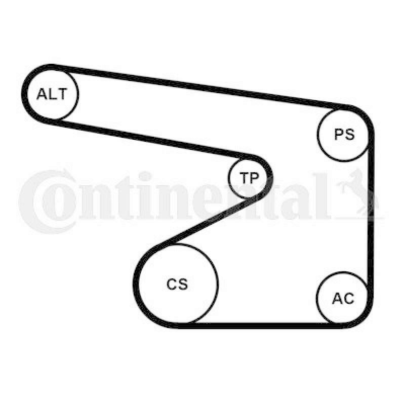 CONTINENTAL CTAM Water Pump + V-Ribbed Belt Kit