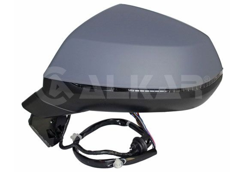 Exterior Mirror