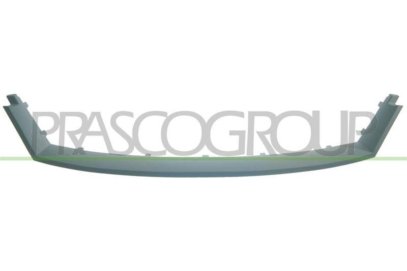 Frame, radiator grille