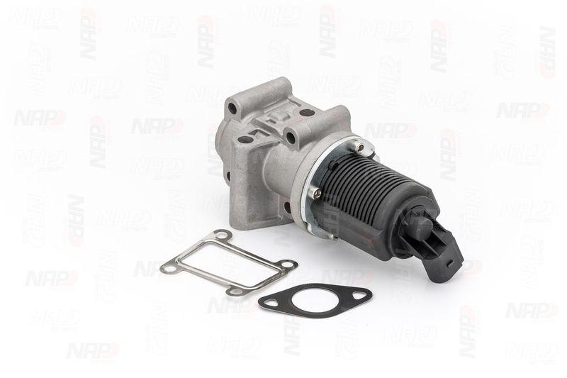 NAP carPARTS AGR-Ventil