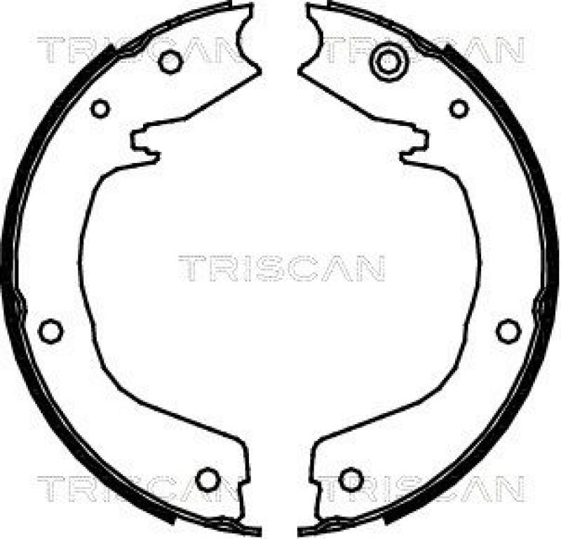 TRISCAN Brake Shoe Set, parking brake