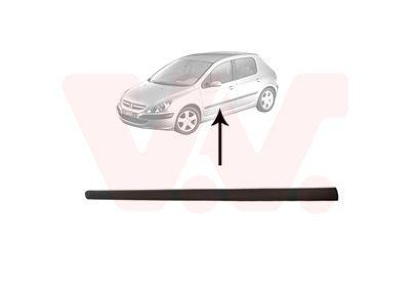 VAN WEZEL Trim/Protective Strip, door