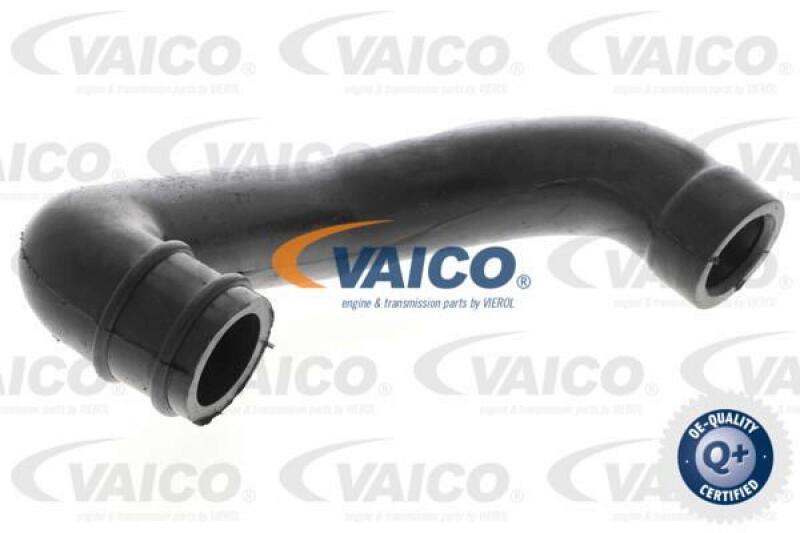 VAICO Hose, air supply Q+, original equipment manufacturer quality