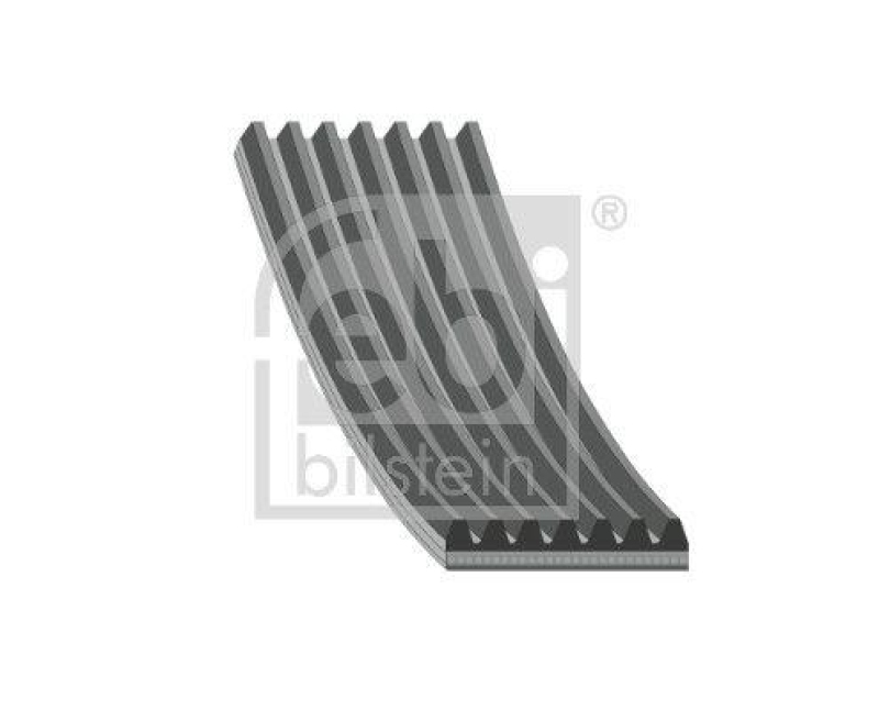 FEBI BILSTEIN Keilrippenriemen 176965