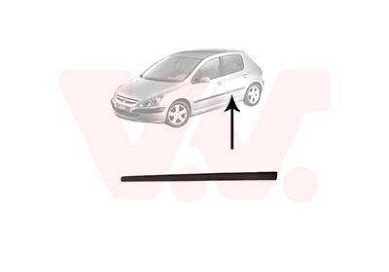 VAN WEZEL Trim/Protective Strip, door