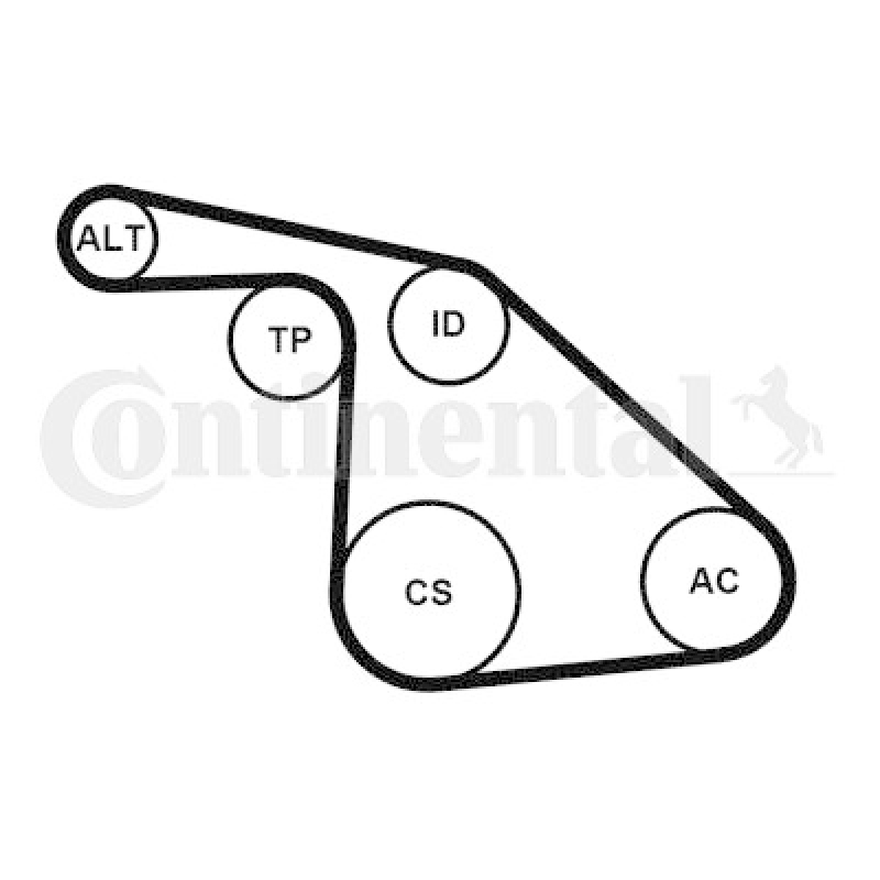 CONTINENTAL CTAM V-Ribbed Belt Set