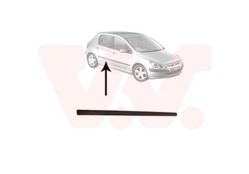VAN WEZEL Trim/Protective Strip, door