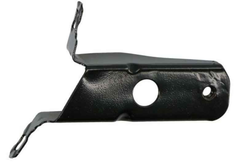 BLIC Mounting, wing holder