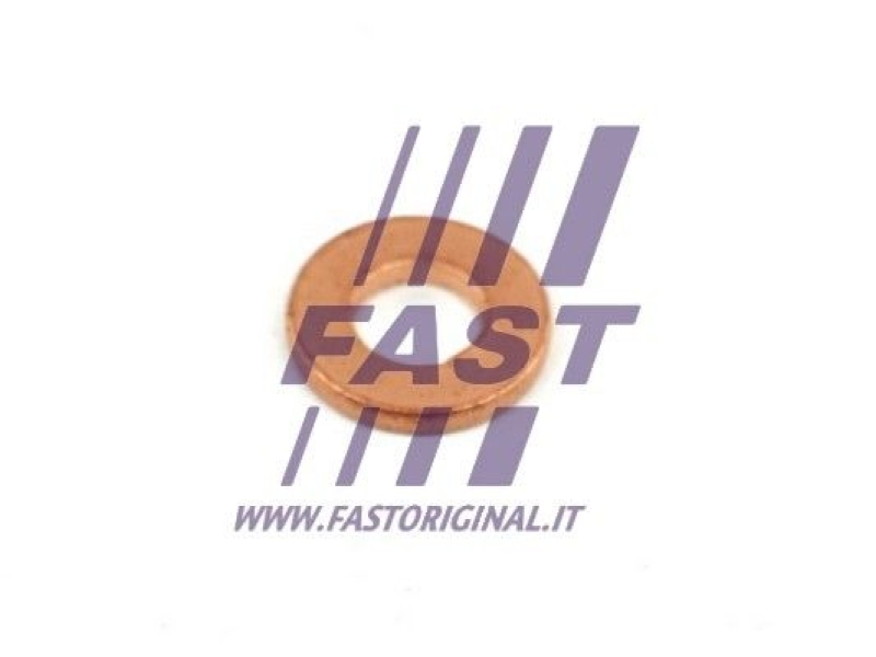 FAST Seal Ring, nozzle holder