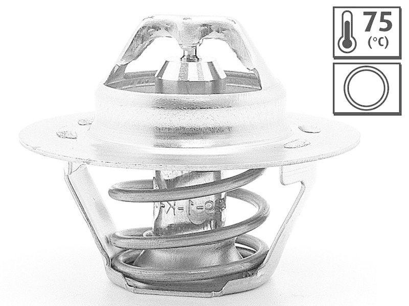 VALEO Thermostat für Kühlmittel / Kühlerthermostat 819859