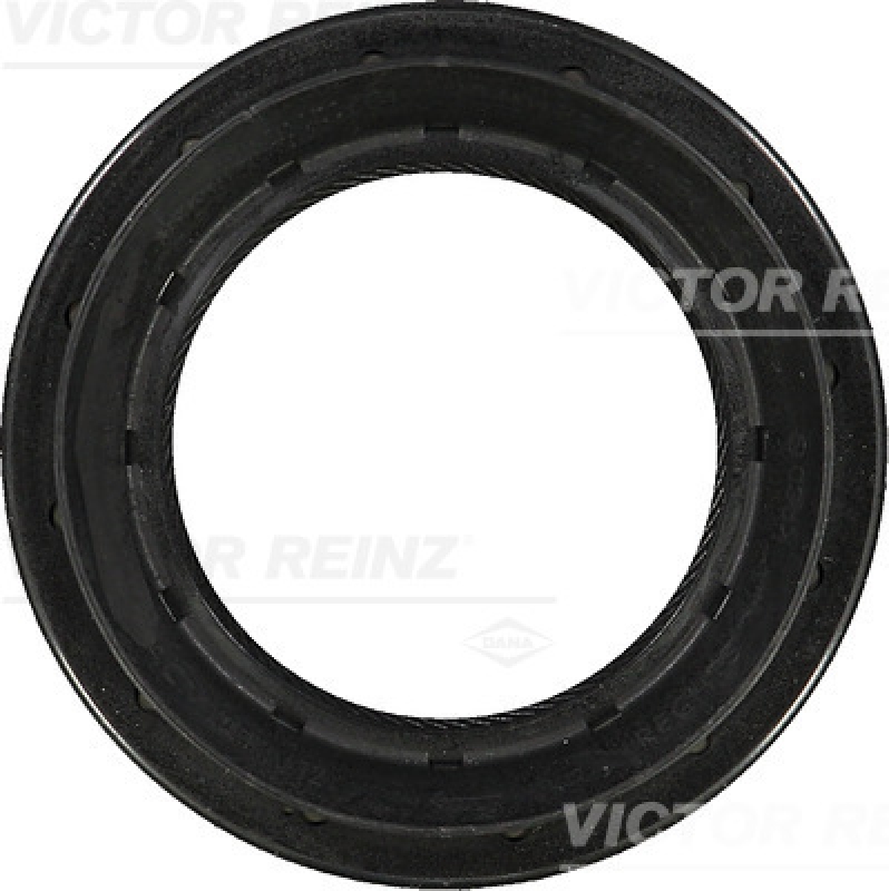 VICTOR REINZ Wellendichtring, Differential