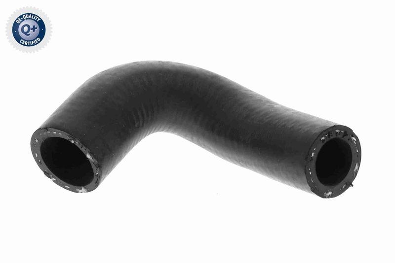 VAICO K&uuml;hlerschlauch Q+, Erstausr&uuml;sterqualit&auml;t V10-5581