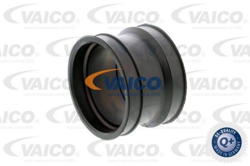 VAICO Hose, air supply Q+, original equipment manufacturer quality MADE IN GERMANY