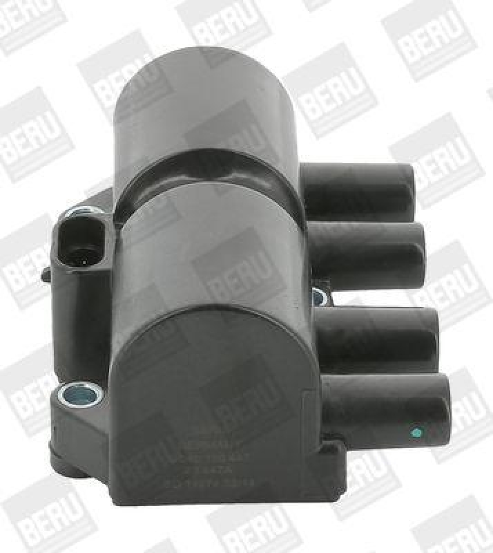 BorgWarner (BERU) Ignition Coil