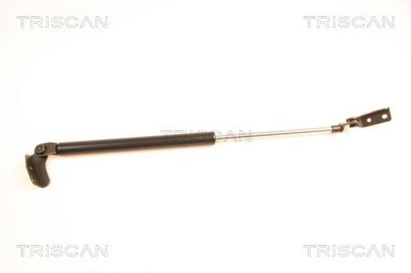 TRISCAN Gas Spring, boot-/cargo area