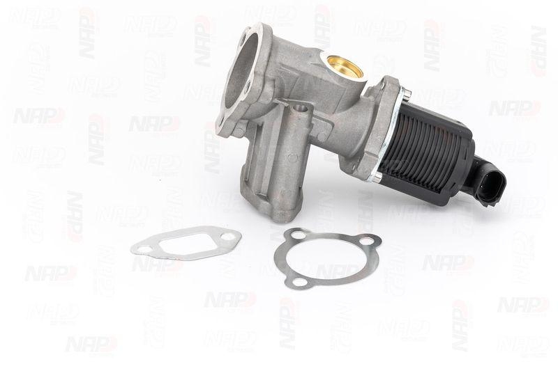 NAP carPARTS AGR-Ventil