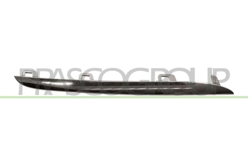 Trim/Protective Strip, radiator grille