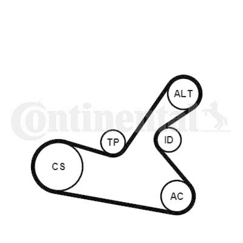 CONTINENTAL CTAM Wasserpumpe + Keilrippenriemensatz