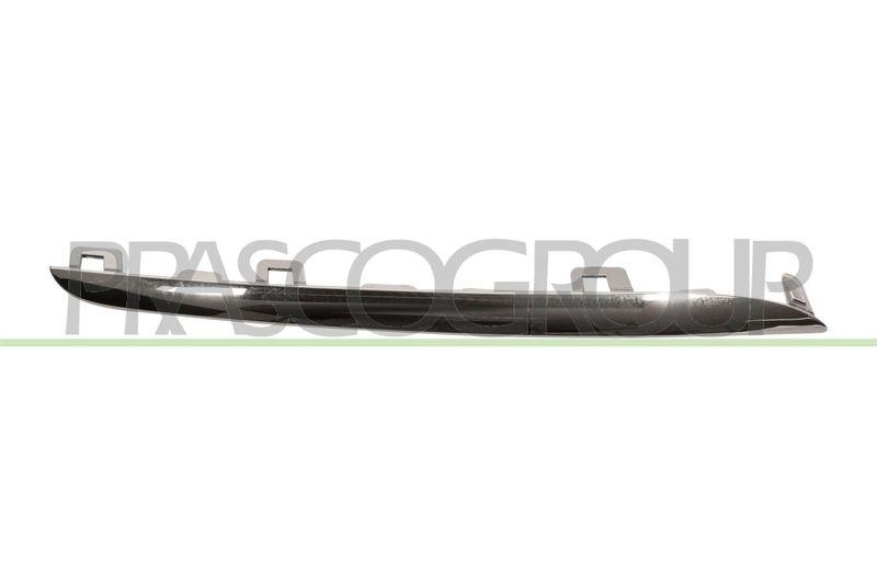 Trim/Protective Strip, radiator grille