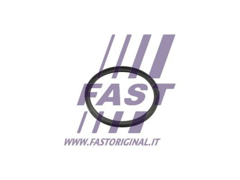 FAST Seal Ring, charge air hose