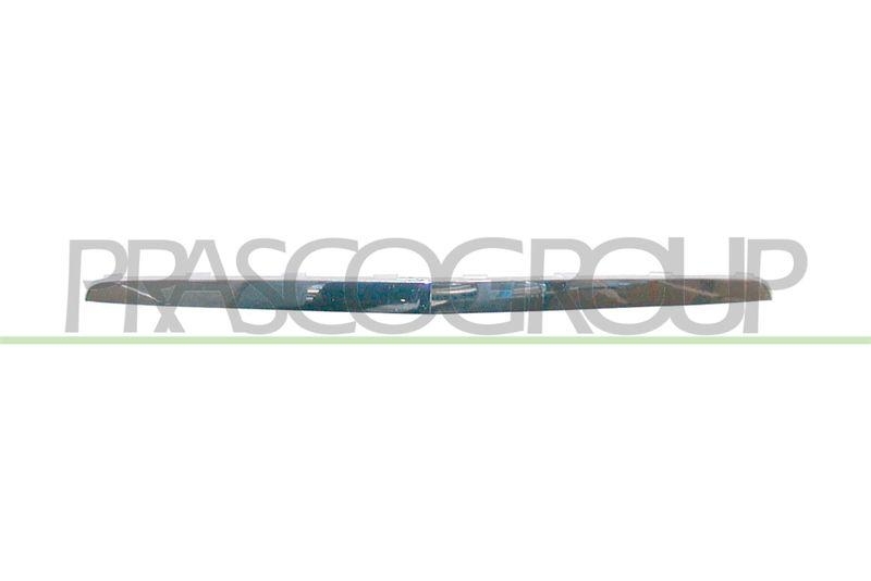 Trim/Protective Strip, radiator grille