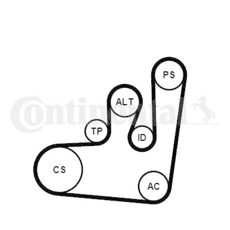 CONTINENTAL CTAM Water Pump + V-Ribbed Belt Set