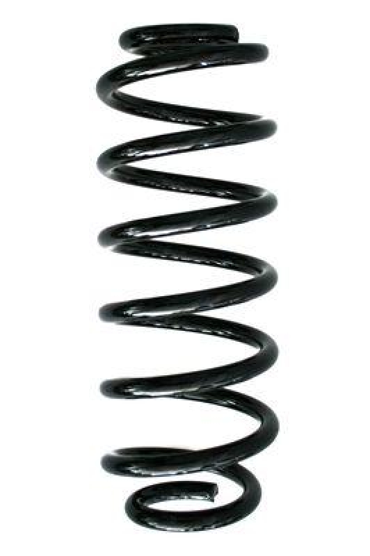 SPIDAN Suspension Spring