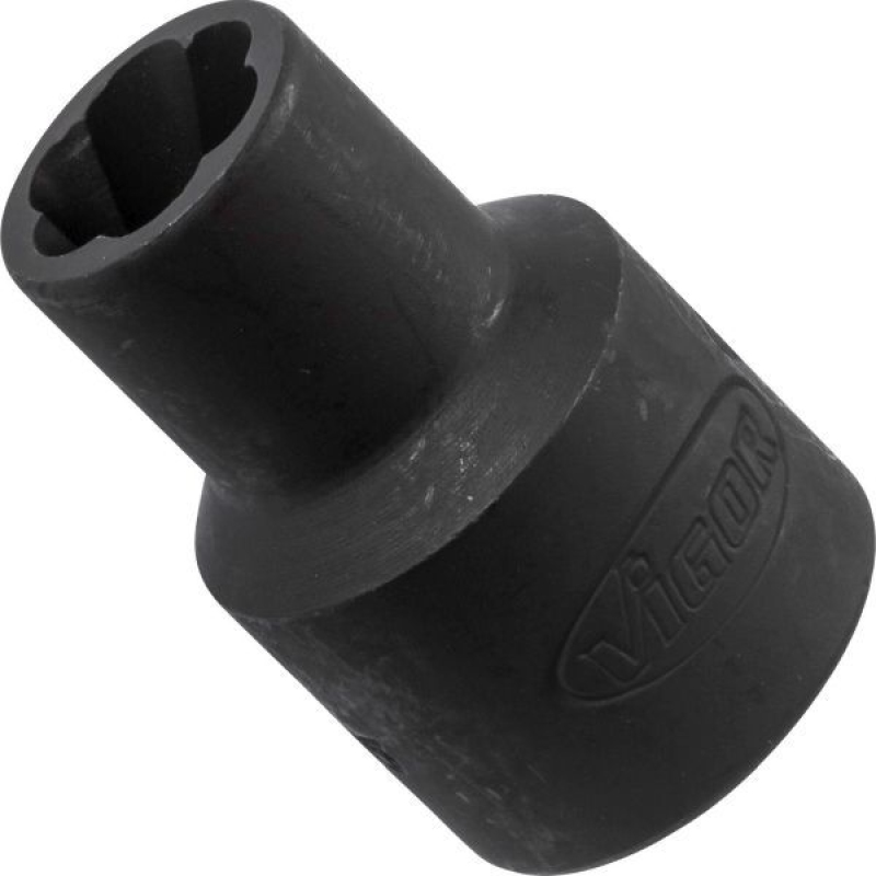 VIGOR Socket